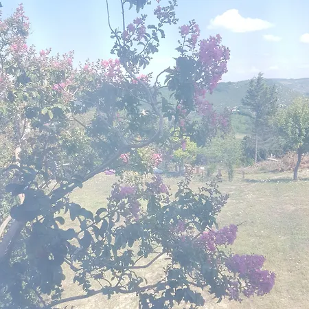 Stone House Boutique Hotel Agva (Marmara)