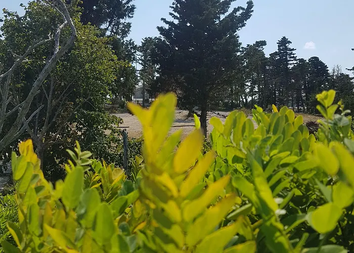 מלון Stone House Boutique אגווה