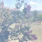 Stone House Boutique Hotel Ağva