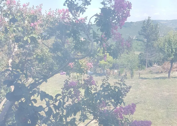 Stone House Boutique מלון אגווה