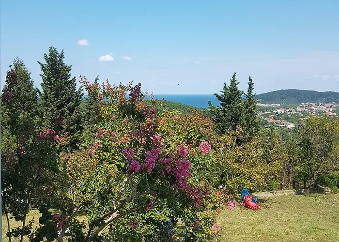 Hotel Stone House Boutique *